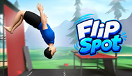 Flip Spot