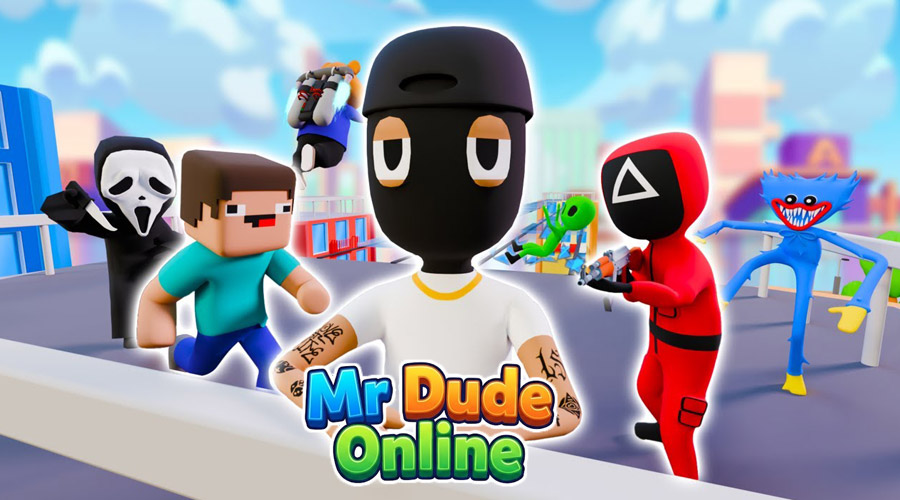 Mr Dude : Online Multiverse Challenge