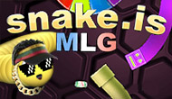 Snake io MLG Edition — Play for free at