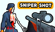 Sniper Shot : Bullet Time